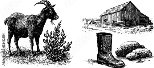 Engraved illustration of goat with leaves in rustic barn farm scene. Classic detailed black and white sketch