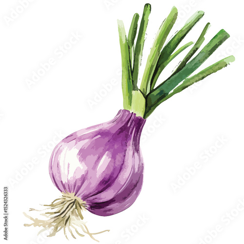 Watercolor Illustration of a Purple Onion with Green Stalks and Roots (1)