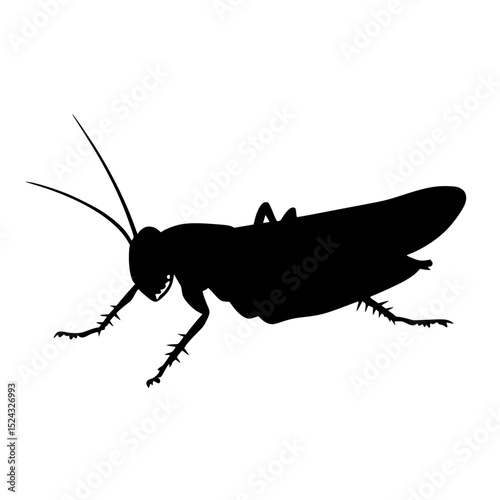 black silhouette of an insect on a transparent background black, grasshopper, image, insect, silhouette , Generative art.