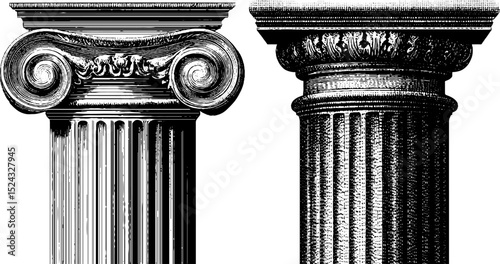 Engraved neoclassical column illustrations for architectural design and study