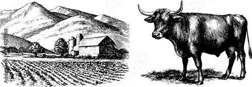 Rural farming scene with engraved ox, farm landscape, and barn for vintage design