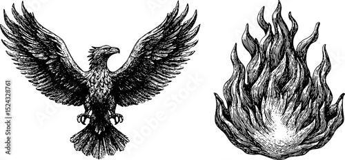Engraved illustration of phoenix rising and flames for mythical art design