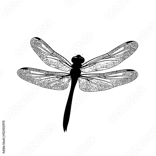 a black silhouette of a dragonfly on a transparent background black, dragonfly, illustration, silhouette, wing , Generative art.