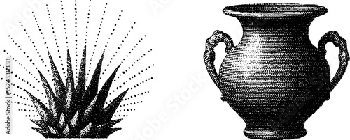 Vintage engraved illustration set featuring spiked plant and ornate vessel design for art and decor