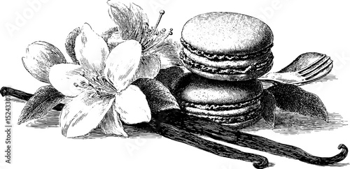 Vintage engraving of sweet macarons with vanilla and flowers for culinary design