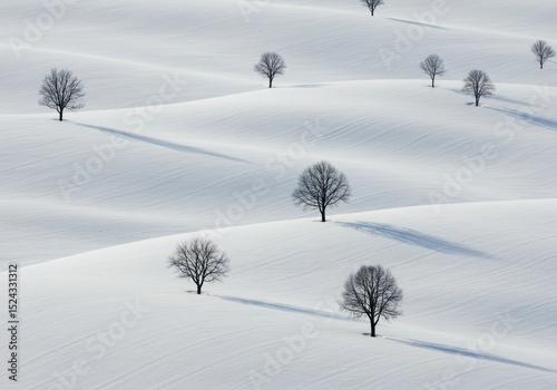Snowy hills adorned with bare trees