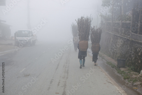 women from a minority tribe in Sapa carry brushwood on their backs in the fog, Vietnam