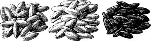 Engraved illustration set featuring various white rice grain piles for culinary design