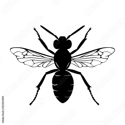 a black and white silhouette of a fly with wings black, fly, icon, illustration, insect, silhouette, wing , Generative art.