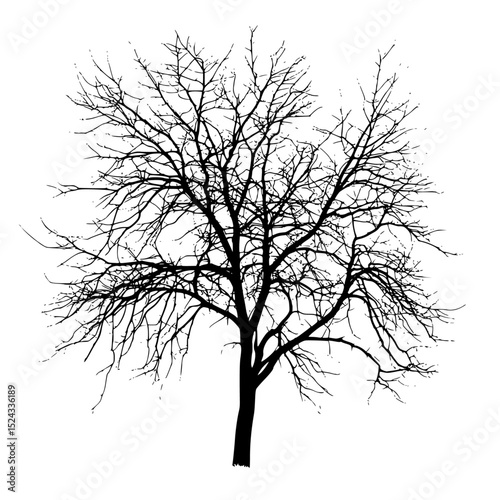 a black and white silhouette of a bare tree bare, black, silhouette, tree, winter , Generative art.