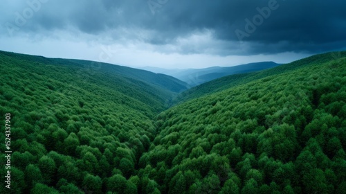 Mystical emerald forest valley under brooding skies, evoking Celtic Beltane whispers and verdant sanctuary of sylvan solstice dreams