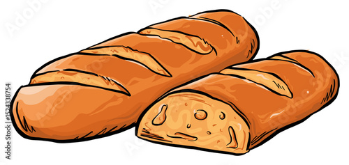 bread baguette food illustration