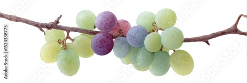 Gradient symphony grapes, vivid viniculture, harvest festival, deliciously surreal, fruity alchemy under autumn's poetic whispering skies