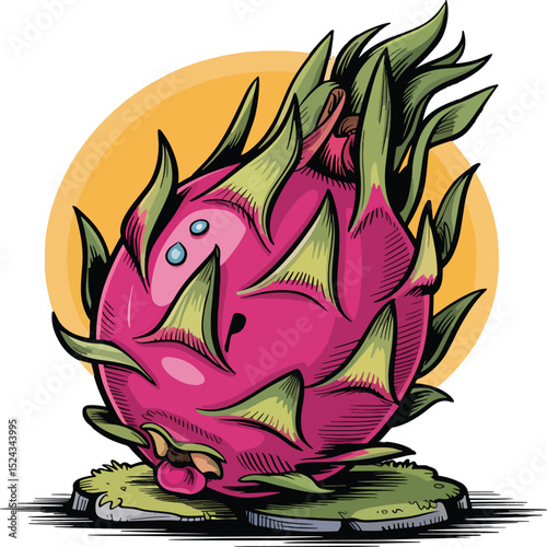 dragon fruit vector illustration
