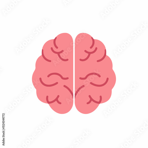 Pink human brain illustration. Detailed anatomy of human brain for medical education.  Human brain image for medical textbook, poster, or infographic.