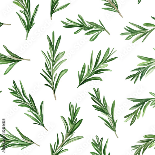 Wallpaper Mural Seamless pattern of fresh rosemary sprigs on black background for culinary and herbal designs and backgrounds on transparent background Torontodigital.ca