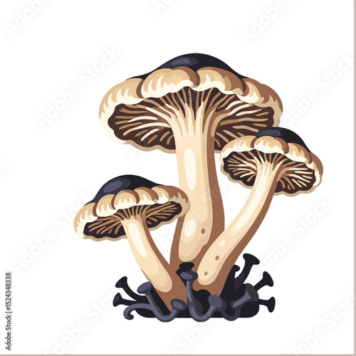 Illustrated Mushrooms - Fungi Art Print - Edible Mushroom Varieties - Wild Mushroom Identification - Nature Inspired Illustration - Fungi Drawing - Mushroom Decor
