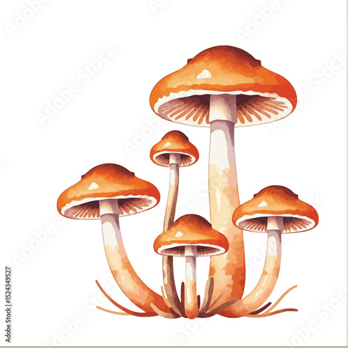 Watercolor Mushroom Illustration- Beautiful Forest Fungi Art- Orange and Beige Mushroom Cluster- Perfect for Botanical Designs- Nature Inspired Artwork