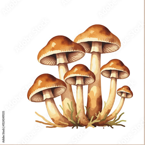 Watercolor Mushroom Illustration-Botanical Fungi Art-Mushroom Clipart for Crafts-Autumn Decoration-Hand Drawn Fungi-Mushroom Watercolor Painting-Wild Mushroom Art