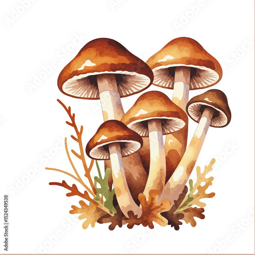 Watercolor Mushroom Illustration-Aesthetic Fungus Art-Autumn Forest Botanical Painting-Detailed Mushroom Clipart for Crafts and Design-Nature Inspired Art