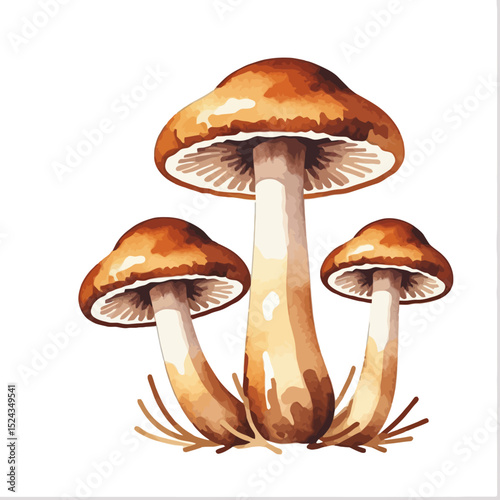 Watercolor Mushroom Illustration-Brown Mushrooms Clipart-Forest Fungi Graphic-Botanical Mushroom Art-Mushroom Watercolor Painting-Autumn Fall Decor-Mushroom Design