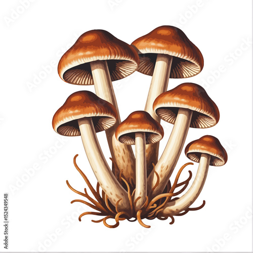 Watercolor Mushroom Illustration- Detailed Fungi Artwork with Brown Caps and Cream Stems- Botanical Print for Nature Lovers- Mushroom Clipart for Design Projects