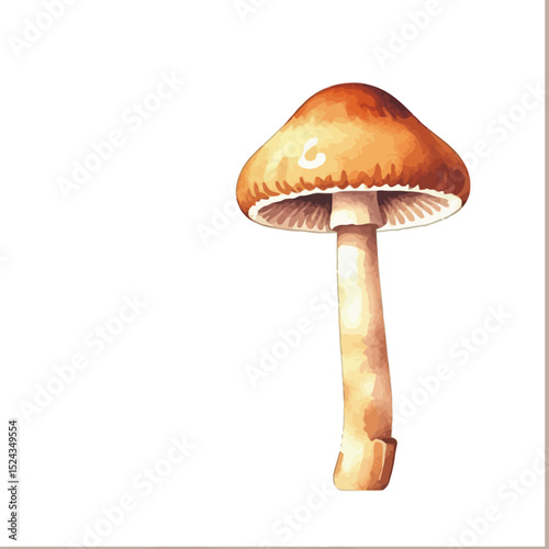Watercolor Mushroom Illustration-Brown Toadstool Painting-Forest Fungi Art-Vintage Mushroom Print-Nature Inspired Artwork-Botanical Illustration-Edible Fungi Image
