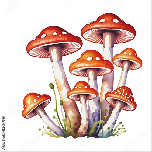Watercolor Mushroom Illustration- Whimsical Red and White Toadstools- Forest Fungi Artwork- Nature Inspired Art- Cute Mushroom Decor- Magical Woodland Theme
