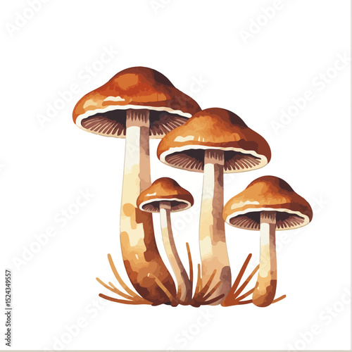 Watercolor Mushroom Illustration-Detailed Fungi Art for Nature Lovers-Botanical Mushroom Painting-Brown and White Mushroom Image-Mushroom Decoration-Forest Flora Art