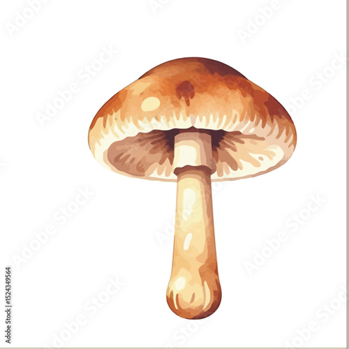 Watercolor Mushroom Illustration-Detailed Fungi Painting-Botanical Art Print for Home Decor-Earthy Tones and Delicate Brushstrokes-Perfect Gift for Nature Lovers