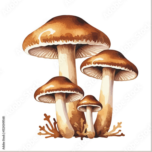 Watercolor Mushroom Illustration-Detailed Fungi Art-Botanical Mushroom Painting-Nature Inspired Artwork-Brown Mushroom Clipart-Vintage Style Mushroom Decor