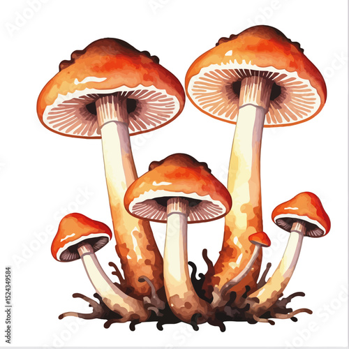Watercolor Mushroom Painting - Whimsical Forest Fungi Illustration - Artistic Mushroom Art - Edible Mushroom Varieties - Botanical Illustration of Mushrooms - Mushroom Decor