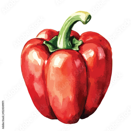 Watercolor Illustration of a Vibrant Red Bell Pepper with Green Stem