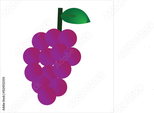 colored purple grapes fruit icon vector illustration