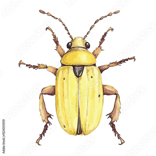 Watercolor Illustration of a Yellow Beetle with Detailed Antennae and Legs