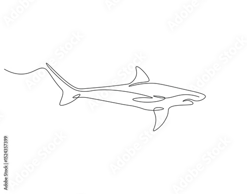 Shark continuous line. Continuous one line drawing of predator animal. Fish, marine, aggressive concept. Single line drawing