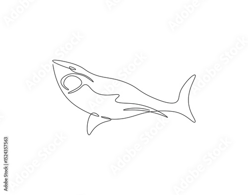 Shark continuous line. Continuous one line drawing of predator animal. Fish, marine, aggressive concept. Single line drawing