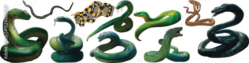 nine color snakes isolated on white
