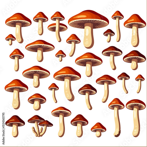 Mushroom Illustration-Variety of Fungus-Edible and Non Edible Fungi- Forest Foraging-Mycological Art-Natural Food Source-Autumn Harvest-Botanical Print-Mushroom Identification Guide