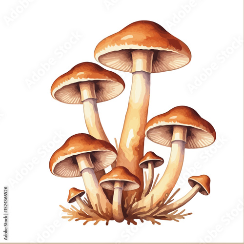 Watercolor Mushroom Clipart- Brown Forest Fungi Illustration- Woodland Nature Art- Botanical Mushroom Print- Edible and Poisonous Mushroom Guide- Autumn Decor