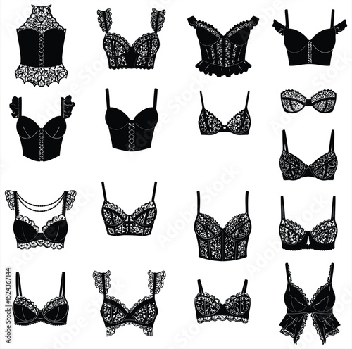 Intricate black and white vector lace lingerie collection: bras, bustiers, and ornate decorative elements. Perfect for fashion, bridal, and vintage design projects.
