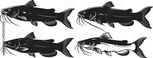 Damboa Catfish icon vector illustration