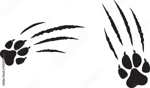 paw print, claw marks, scratches, animal tracks, footprint, wildlife, predator, cat, dog, bear, wild animal, vector, illustration, graphic, design, black 