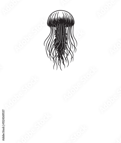 Silhouette vector of a jellyfish, isolated on a white background