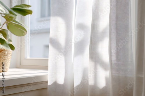 Sunlight shining through white transparent curtains in apartment window with plant