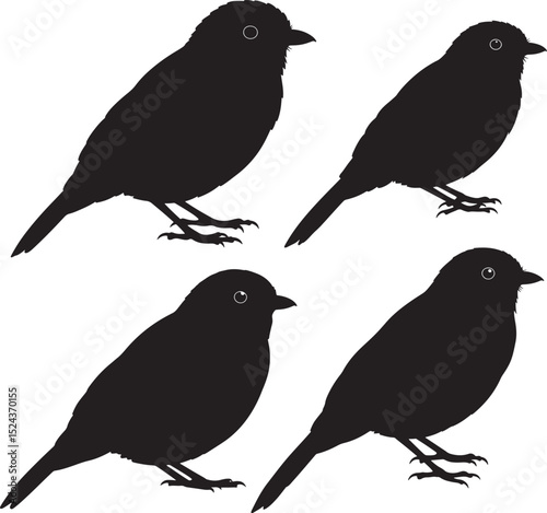 Manakin Bird icon vector illustration