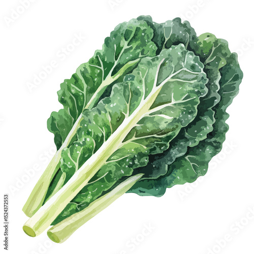 Watercolor Illustration of Vibrant Green Chard Bunch