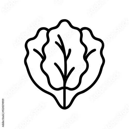 Lettuce icon in minimalist style with simple outline design  