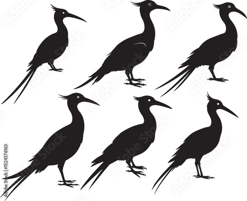 Tropicbird icon vector illustration