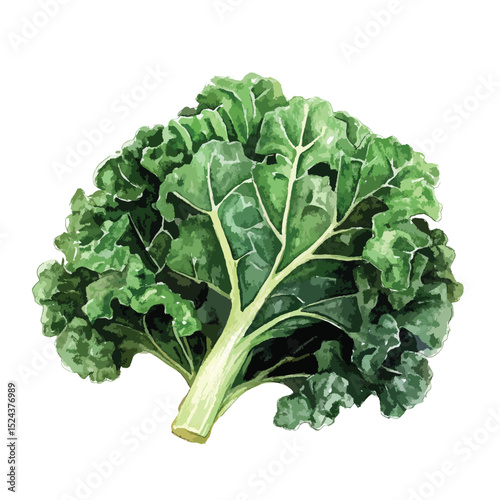 Watercolor Painting of Lush Green Kale Leaf